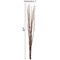 Uniquewise 12 pcs Natural Decorative Dry Branches Authentic Sticks, Home Decoration and Wedding Craft, DIY Greenery Plants Craft Vases fillers Garden Hotel Farmhouse Decor